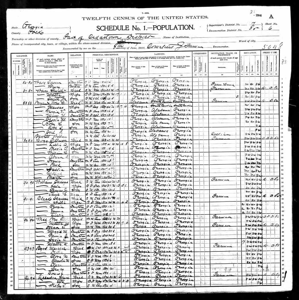 US Federal Census 1900 Polk County Cedartown Georgia Page 1